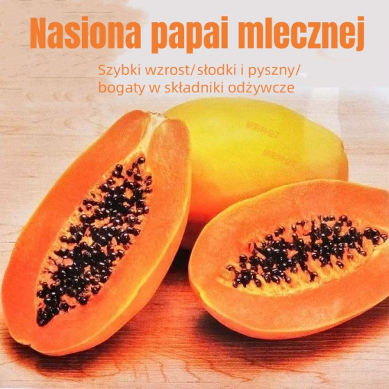 Milk Papaya Seeds